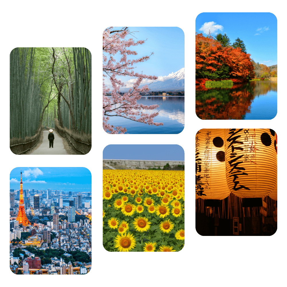 app-image.png
